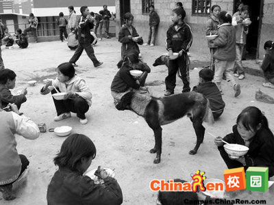 新年第一天的震撼：农村孩子的午饭(组图)